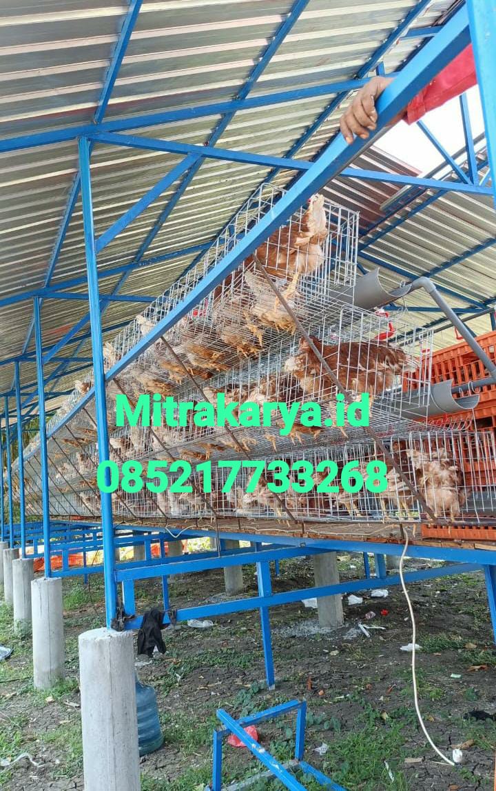 WhatsApp Image 2025-10-26 at 20.33.38