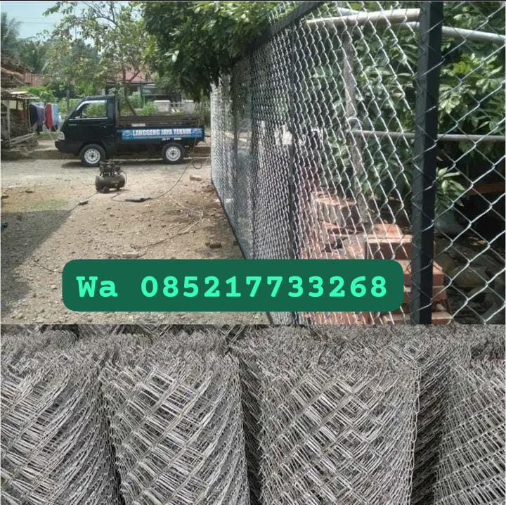 WhatsApp Image 2025-05-01 at 14.36.01