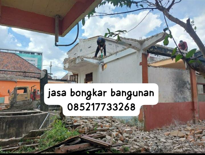 WhatsApp Image 2025-11-10 at 12.07.47